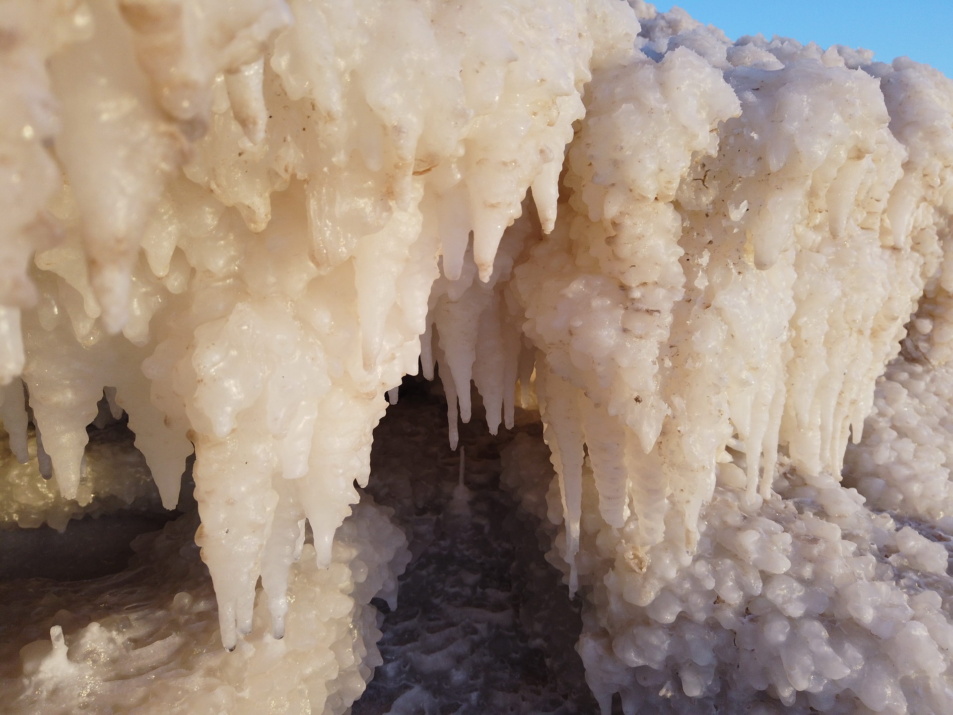 Discover the Wonders of the Dead Sea - A Day Trip from Aqaba